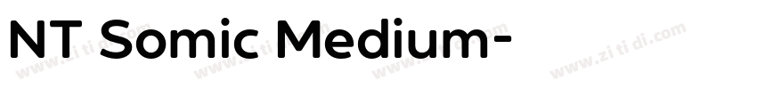 NT Somic Medium字体转换